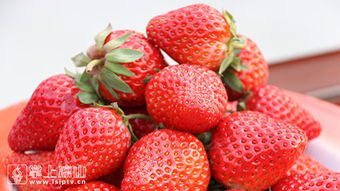 小草莓成就大產(chǎn)業(yè)，德昌草莓紅火出圈記